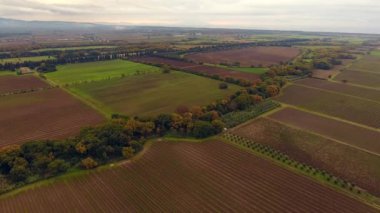 Toskana, İtalya, üzüm Hasattan sonraki sonbahar renkleri ile hava atış, büyük üzüm bağları drone ile vurdu