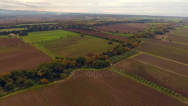 Tiro aéreo, enormes viñedos con los colores de otoño después de la vendimia de la uva en Toscana, Italia, tiro con dron — Vídeo de stock