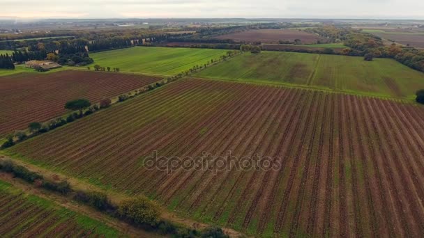 Letecký záběr, obrovské vinice s podzimní barvy po sklizeň hroznů v Toskánsko, Itálie, střílel s DRONY — Stock video