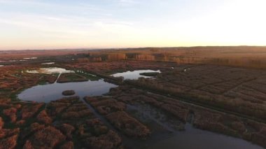 Hava atış, sinek drone ile yapılan Avrupa'nın bataklık peyzaj üzerinde