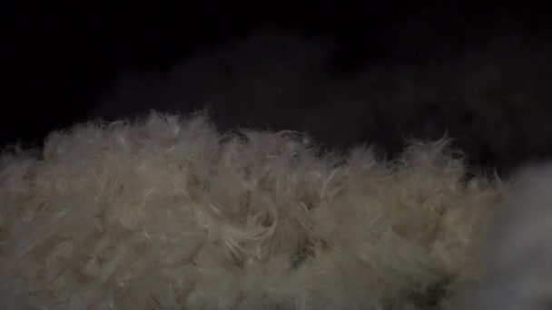 Vidéo au ralenti des flocons de duvet se déplaçant dans l'obscurité — Video