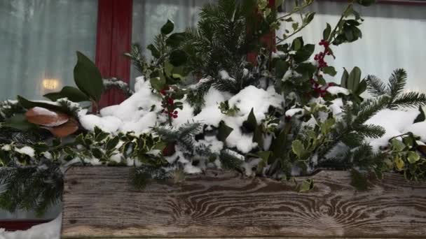 Una rama de abeto cubierta de nieve, enfoque selectivo, 4K — Vídeos de Stock