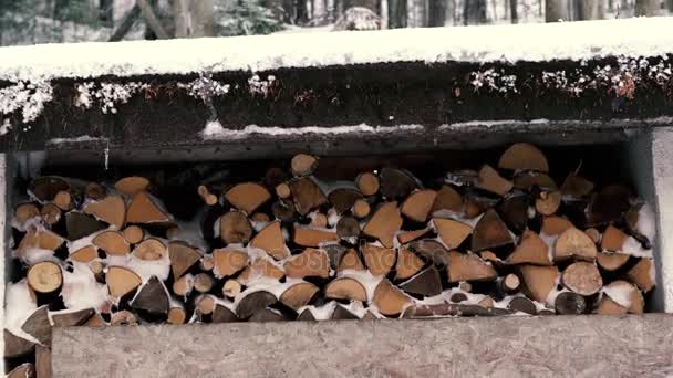 Ein schneebedeckter Holzstapel, 4k — Stockvideo