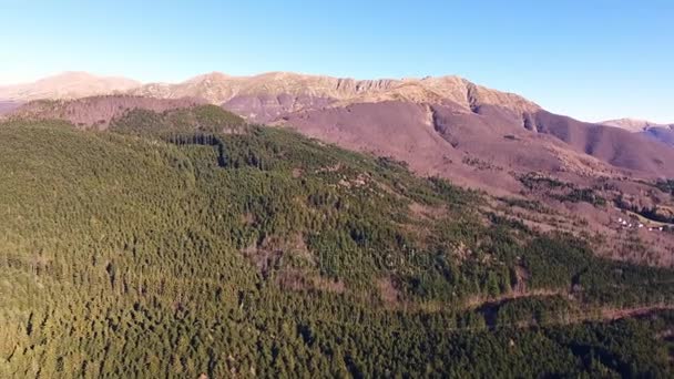 Aerial shot, autumn landscape in the high mountains with coniferous wood, sun high in the sky, filmed with drone, 4K — Stock Video