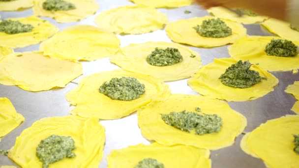 Une cuisinière dans la cuisine du restaurant de restauration remplit ses crêpes de ricotta et d'épinards, 4K — Video
