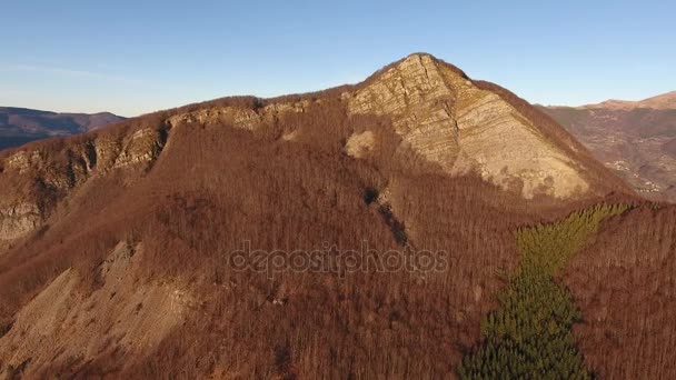 Снимок с воздуха, осенний пейзаж в высоких горах с хвойным деревом, заход солнца, съемка с беспилотником, 4К — стоковое видео