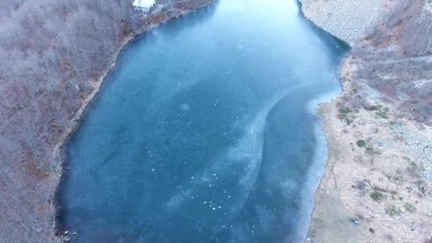 Снимок с воздуха, белое замороженное дерево в горах, снято дроном, 4К — стоковое видео