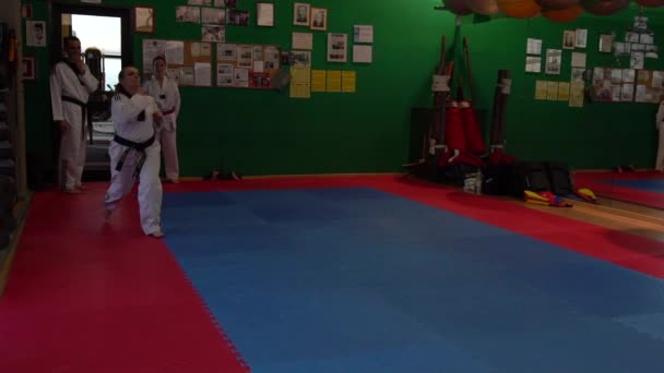 Vidéo au ralenti d'une séance d'entraînement de taekwondo pour adultes au gymnase, une femme qui donne des coups de pied, mise au point sélective — Video