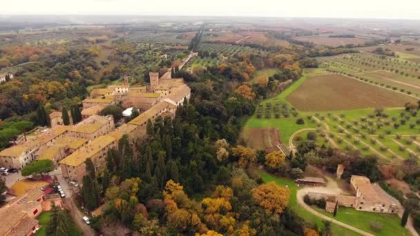 Légi felvétel, egy ősi kisváros található vidéki táj művelt föld és olajfák Toszkánában, Olaszországban, sok lövés a drone — Stock videók