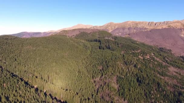 Hava atış, turuncu kuru ile dağlarda bir sonbahar ağaç yaprakları, drone ile filme yüksek gökyüzünde güneş, — Stok video