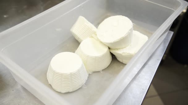 Un cocinero poniendo un poco de queso ricotta en el recipiente de plástico, 4K — Vídeo de stock