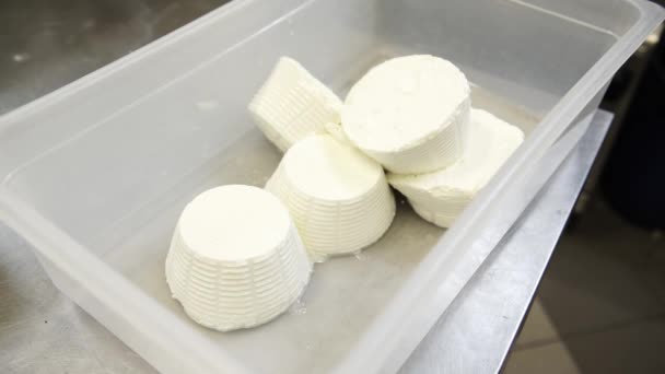 Kucharz, oddanie trochę sera ricotta w plastikowym pojemniku, 4k — Wideo stockowe