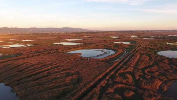 Аэросъемка, пролет над болотистым ландшафтом в Европе, сделанная с беспилотником — стоковое видео