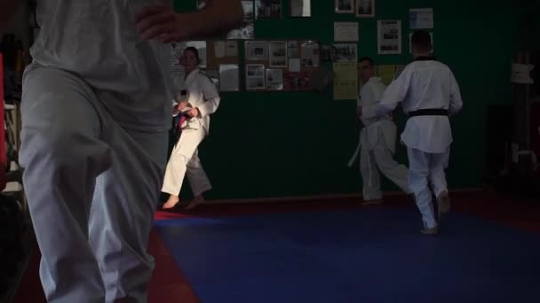 Vídeo en cámara lenta de una sesión de entrenamiento de taekwondo para adultos en el gimnasio, calentamiento, enfoque selectivo — Vídeo de stock