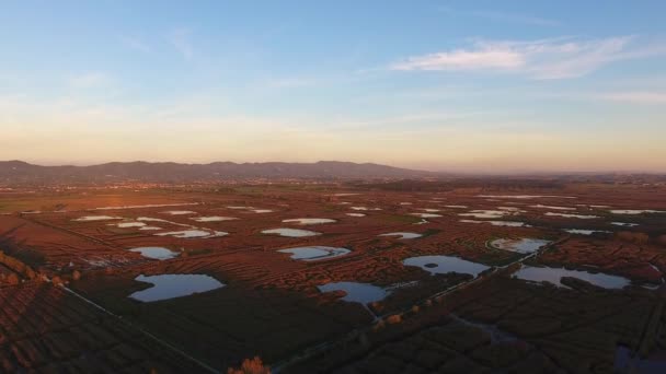 Vue aérienne, survoler un paysage marécageux en Europe, faite avec un drone — Video