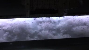 Yavaş hareket sensörleri ile seçici odak aşağı seçme aşağı dolum makineleri