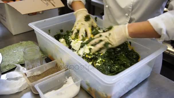 Una hembra cocina mezclando espinacas, queso ricotta y huevo para licuarlos en un relleno de pasta, 4K — Vídeo de stock