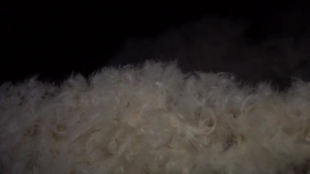 Vidéo au ralenti des flocons de duvet se déplaçant dans l'obscurité, mise au point sélective — Video