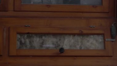 Ağır çekim video aşağı için tüy büyük bir ahşap sıralama makineden seçici odak