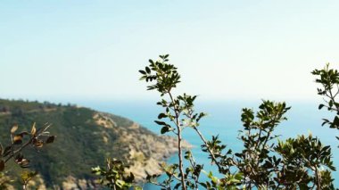Elba Adası, İtalya, Hd deniz Akdeniz bitki örtüsü