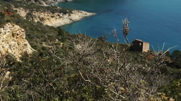 Medelhavet vegetation vid havet i Elba island, Italien, Hd — Stockvideo