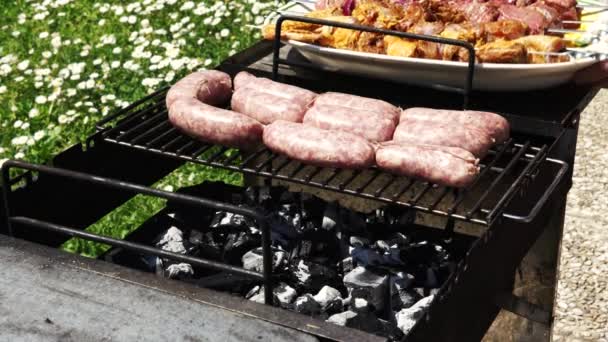 Korv, kyckling och nötkött får tillagas för sommar barbecue, 4k — Stockvideo