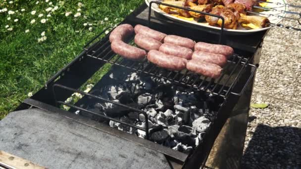 Korv, kyckling och nötkött får tillagas för sommar barbecue, 4k — Stockvideo