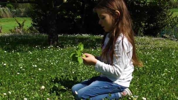 Petite fille aux longs cheveux bruns jouant avec les fruits juste ramassés de l'arbre, au ralenti HD — Video