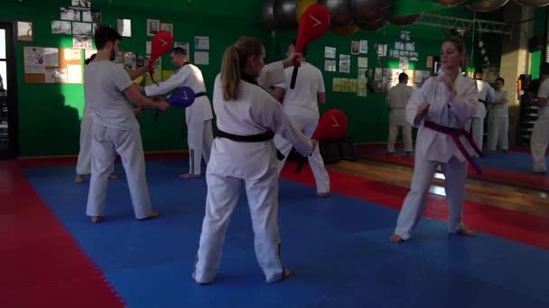 Vídeo em câmera lenta de uma sessão de treinamento de taekwondo adulto no ginásio, chutando, foco seletivo — Vídeo de Stock