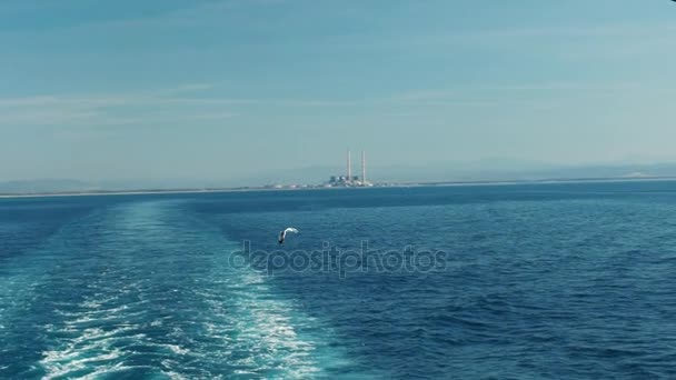 Movimiento lento de una gaviota solitaria volando sobre el mar Mediterráneo, HD — Vídeo de stock