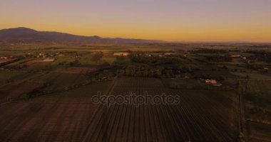 Havadan görüntüleri, Toskana, İtalya, 4k Sunset'teki muhteşem üzüm bağları