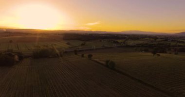 Havadan görüntüleri, Toskana, İtalya, 4k Sunset'teki muhteşem üzüm bağları