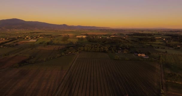 Ujęcia, wspaniałe winnice na zachód słońca w Toskanii, Włochy, 4k — Wideo stockowe