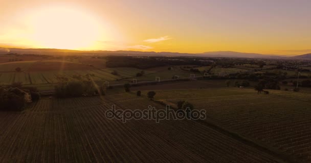 Filmagem aérea, lindos vinhedos ao pôr do sol na Toscana, Itália, 4K — Vídeo de Stock