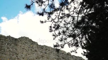 Arkadan aydınlatmalı Çamın dalları, antik bir duvar ve gökyüzü, 4k