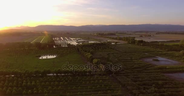 Paisagem verde rural aérea no pôr do sol com campos pantanosos, 4K — Vídeo de Stock