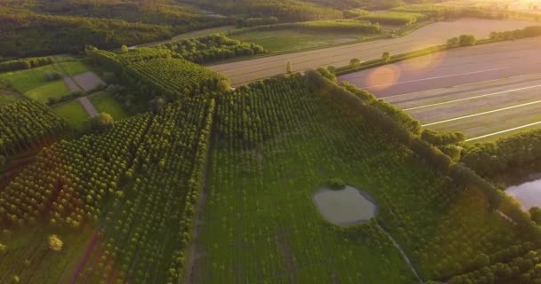 Campo aéreo paisaje verde en la puesta del sol con campos pantanosos, 4K — Vídeos de Stock