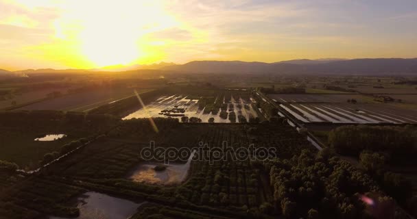 Paisagem verde rural aérea no pôr do sol com campos pantanosos, 4K — Vídeo de Stock