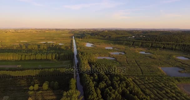 Aerial countryside landscape on sunset with marshy fields, small river and wood, 4K — Stock Video