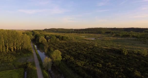 Antenowe countryside krajobraz na zachód słońca z podmokłych pól, rzeczki i drewna, 4k — Wideo stockowe