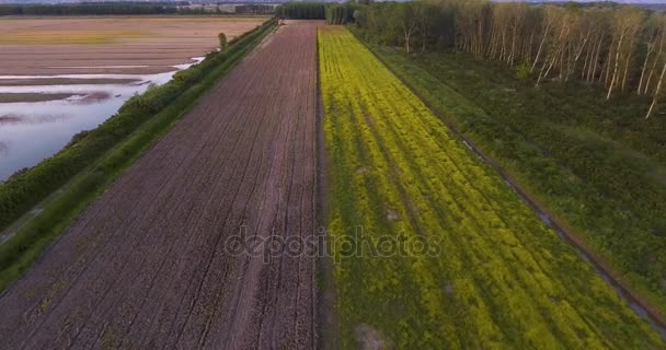 Scatto aereo, terreno paludoso nella campagna toscana al tramonto, 4K — Video Stock