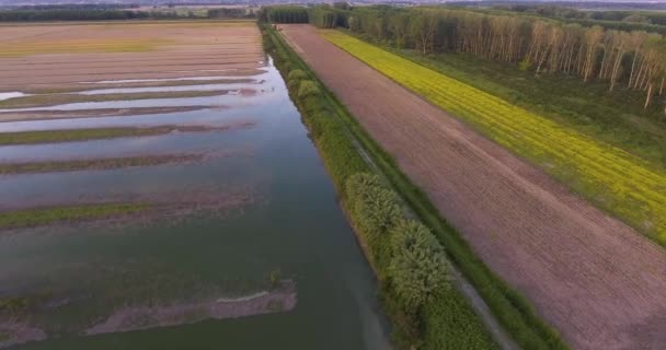 Luftaufnahme, sumpfiges Gelände in der toskanischen Landschaft bei Sonnenuntergang, 4k — Stockvideo