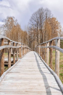 Ahşap köprü yolu ormandaki galicia İspanya