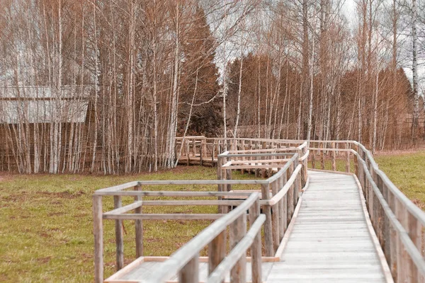 Camino del puente de madera a través del bosque en Galicia España — Foto de Stock