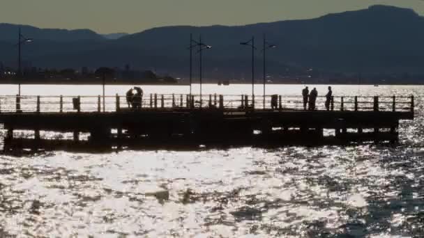 Nocny Lot Dronem Nad Mostem Hercilio Luz Florianopolis Santa Catarina — Wideo stockowe