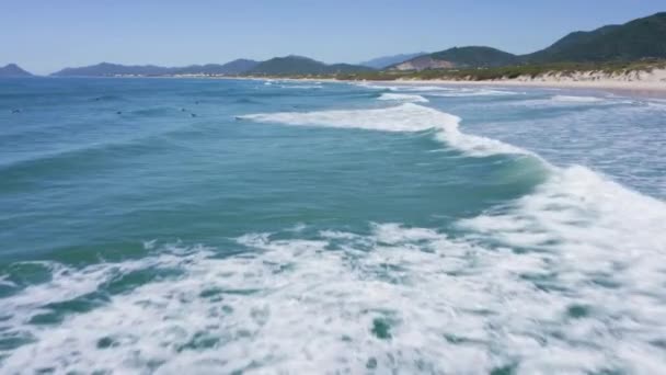 Surfers Het Strand Van Joaquina Florianopolis Santa Catarina Brazilië — Stockvideo