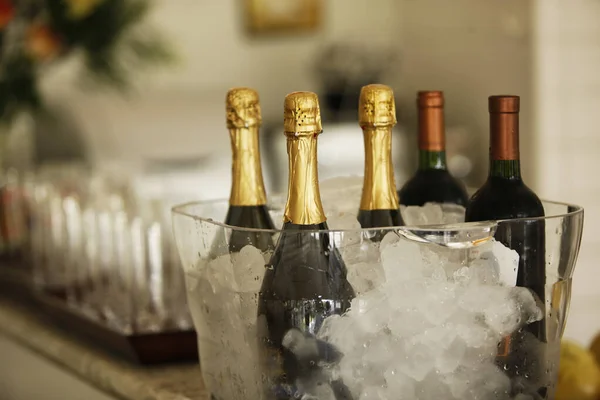 champagne and wine bottles in ice bucket for important celebration.