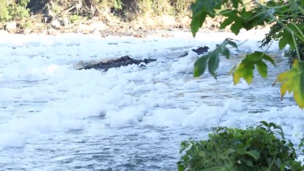 Río Tiete Contaminado Carretera Del Parque Área Preservación Ambiental Itu — Vídeo de stock