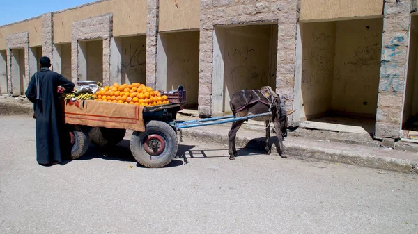 Sokak satıcısı meyve