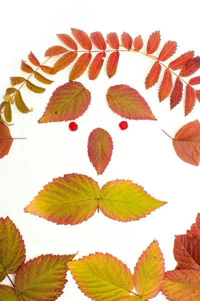 Bunte Blätter im Herbst. Gesicht. isolieren auf weißem Hintergrund — Stockfoto